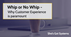 Whip or No Whip - Why Customer Experience is paramount