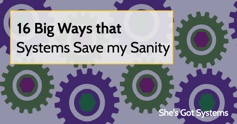 16 Big Ways that Systems Save my Sanity