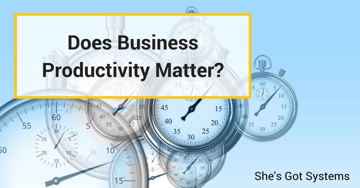 Does Business Productivity Matter?