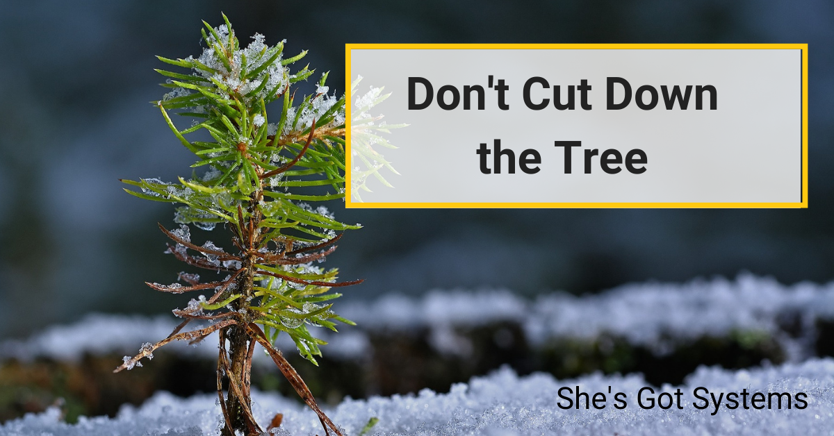 Don’t Cut Down the Tree