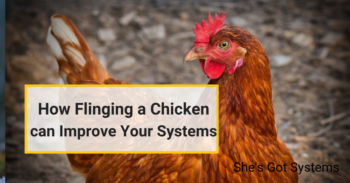 How Flinging a Chicken Can Improve Your Systems
